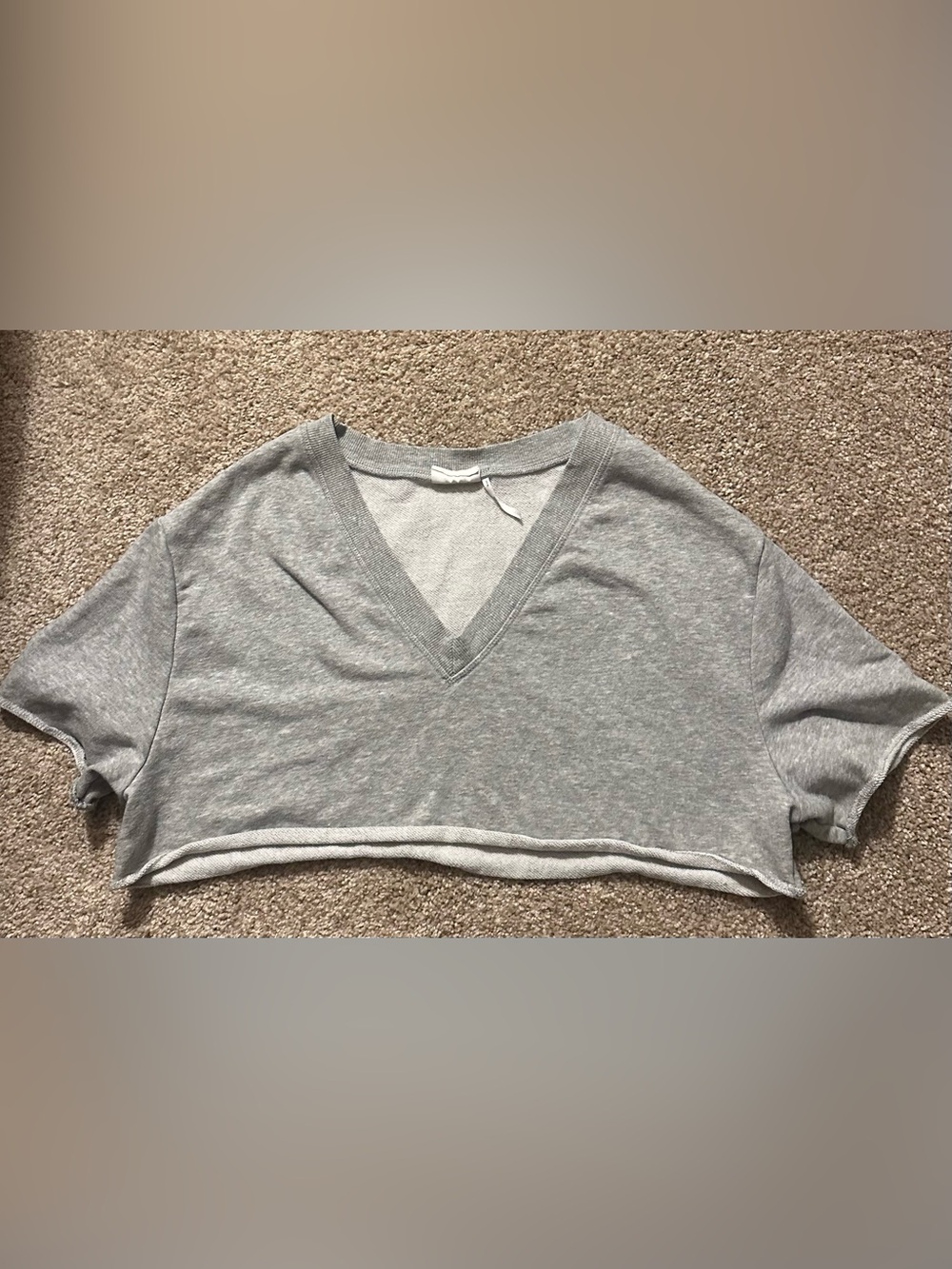 Urban Outfitters Gray V-Neck Cropped Tee